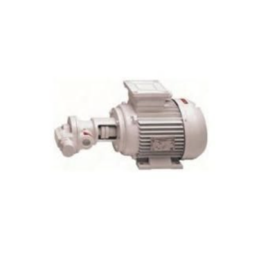 Gianneschi Pump gear type PQ 40 GH 230 V 1 Ph 50 Hz 1.1 KW 1450 Rpm