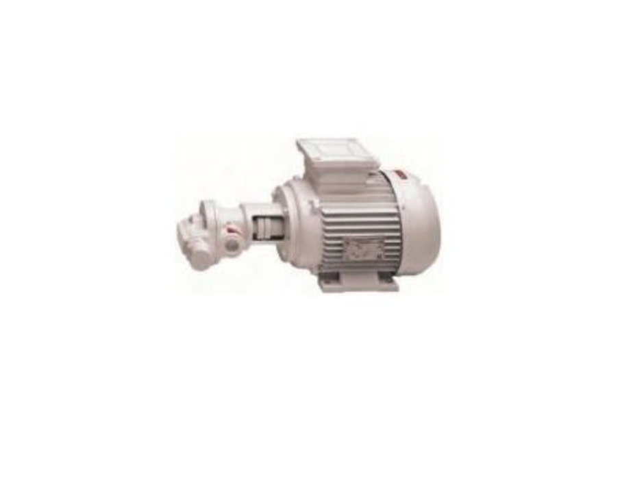 1Gianneschi Pump gear type PQ15 GH 24 V 0.37 kW 1450 Rpm